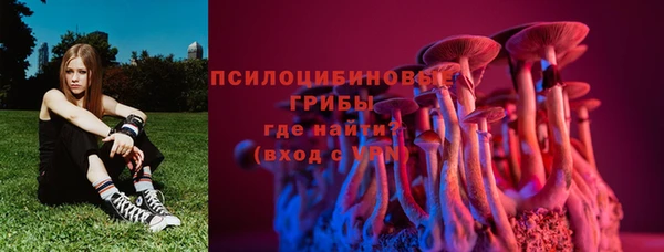 прущая мука Вязьма