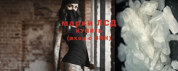 винт Ельня