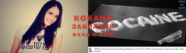 прущая мука Вяземский