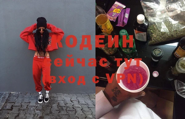 прущая мука Вяземский