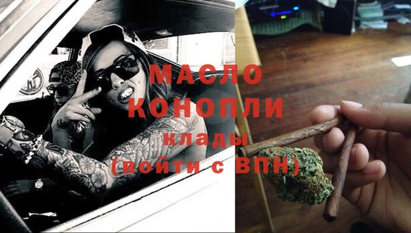 прущая мука Вяземский