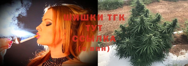 винт Ельня