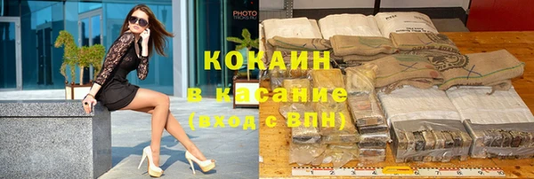 прущая мука Вяземский