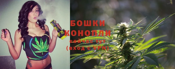 прущая мука Вяземский